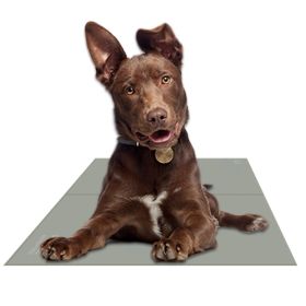 Chillz Non-Toxic Pet Cooling Gel Mat