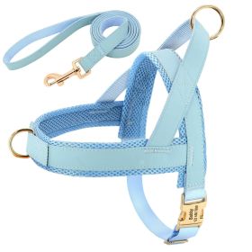 Customizable Pet Harness And Leash Set (Color: Blue, size: L)