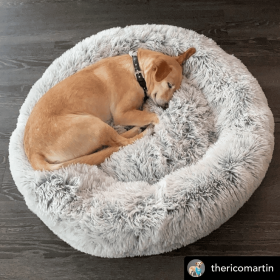 Mr. Peanut's OrthoPlush Pet Bed for Superior Comfort and Spinal Support (Size-Pack Of: 23 In-1, Color: Gray Two Tone)