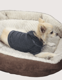 Premium Burnout Wash Doggy and Kitty Hoodie for Comfort and Style (Size-Pack Of: Small-1, Color: Black)